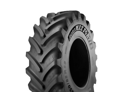 600/70R34 BKT AGRIMAX FORTIS 163/160A8/D Сільгосп шина